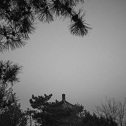 巴西爱好者打造《战神：诸神黄昏》奎托斯蛋糕